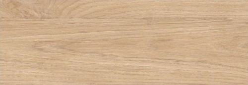 Calacatta Oro Wood 24.2x70