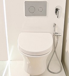 HOTELS Гигиенический душ с запорным вентилем, хром в интерьере 3965