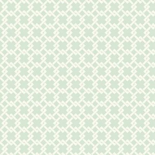 Бумажные обои York Ashford House Toiles II 0.52x10.05