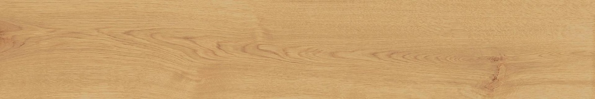  Exence Almond 20x120