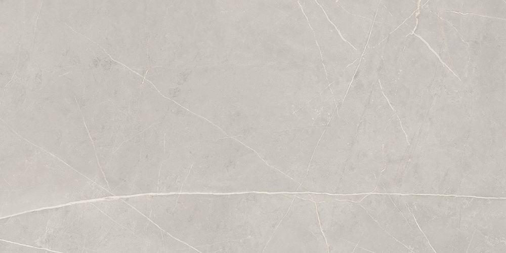  Nolana Light Grey NL02 60x120