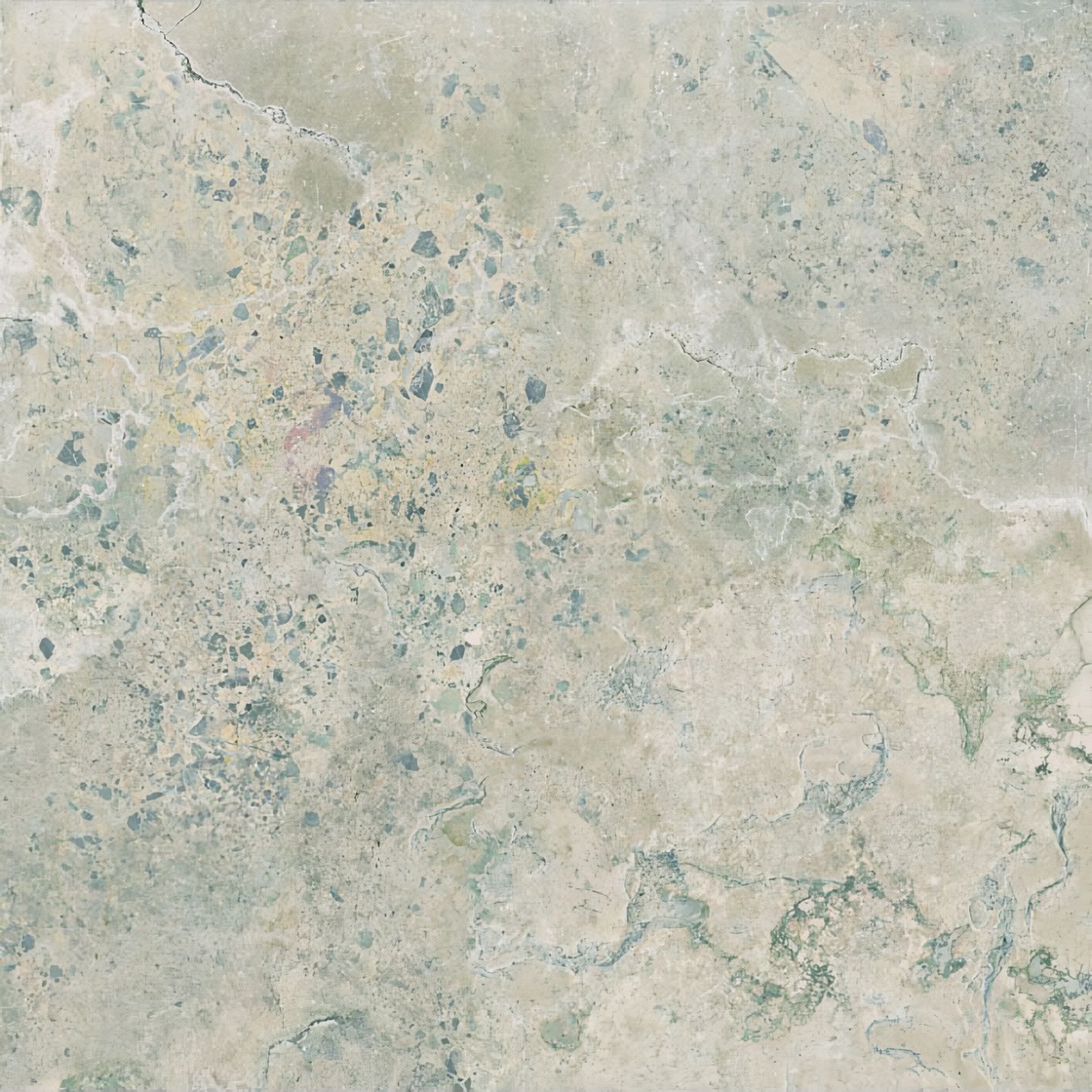  Pietra Viva Ivory Nat Rett 120x120