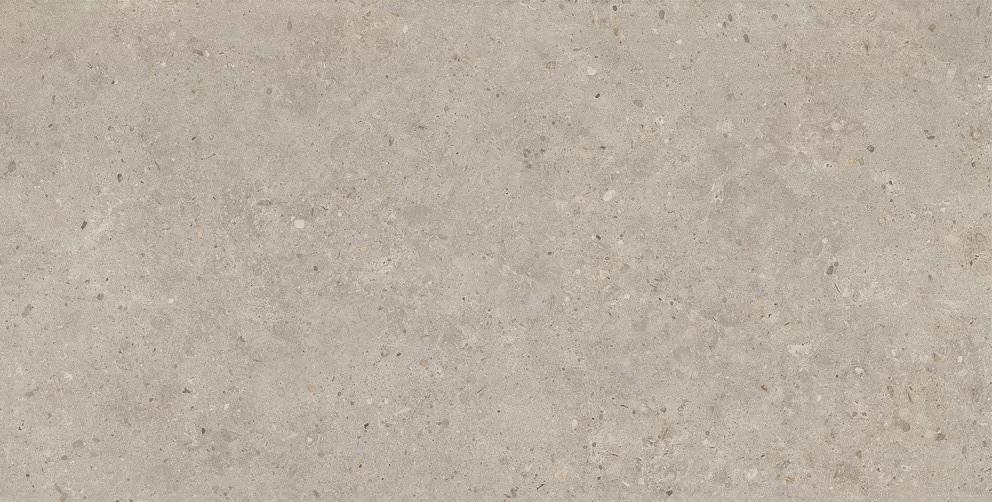  Риккарди Бежевый Матовый Обрезной 60x119.5