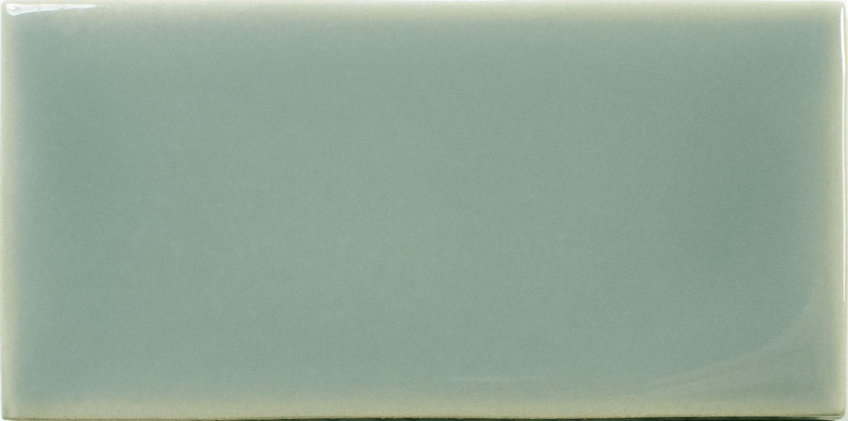 Керамическая плитка Fayenza Fern 6.25x12.5