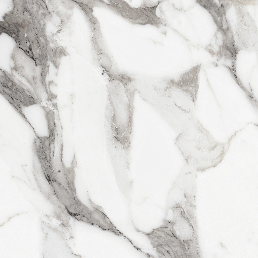  Les Origines De Rex Argent Matte 60x60