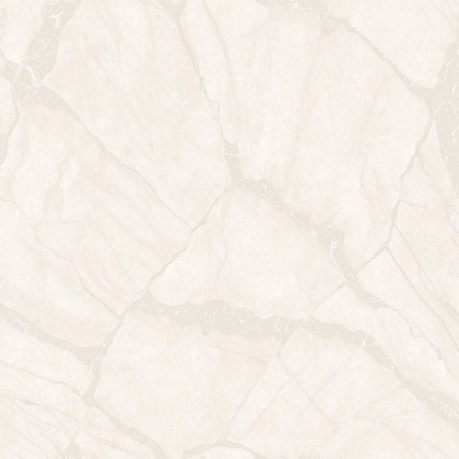 Виниловые обои Philipp Plein 2 1.06x10.05