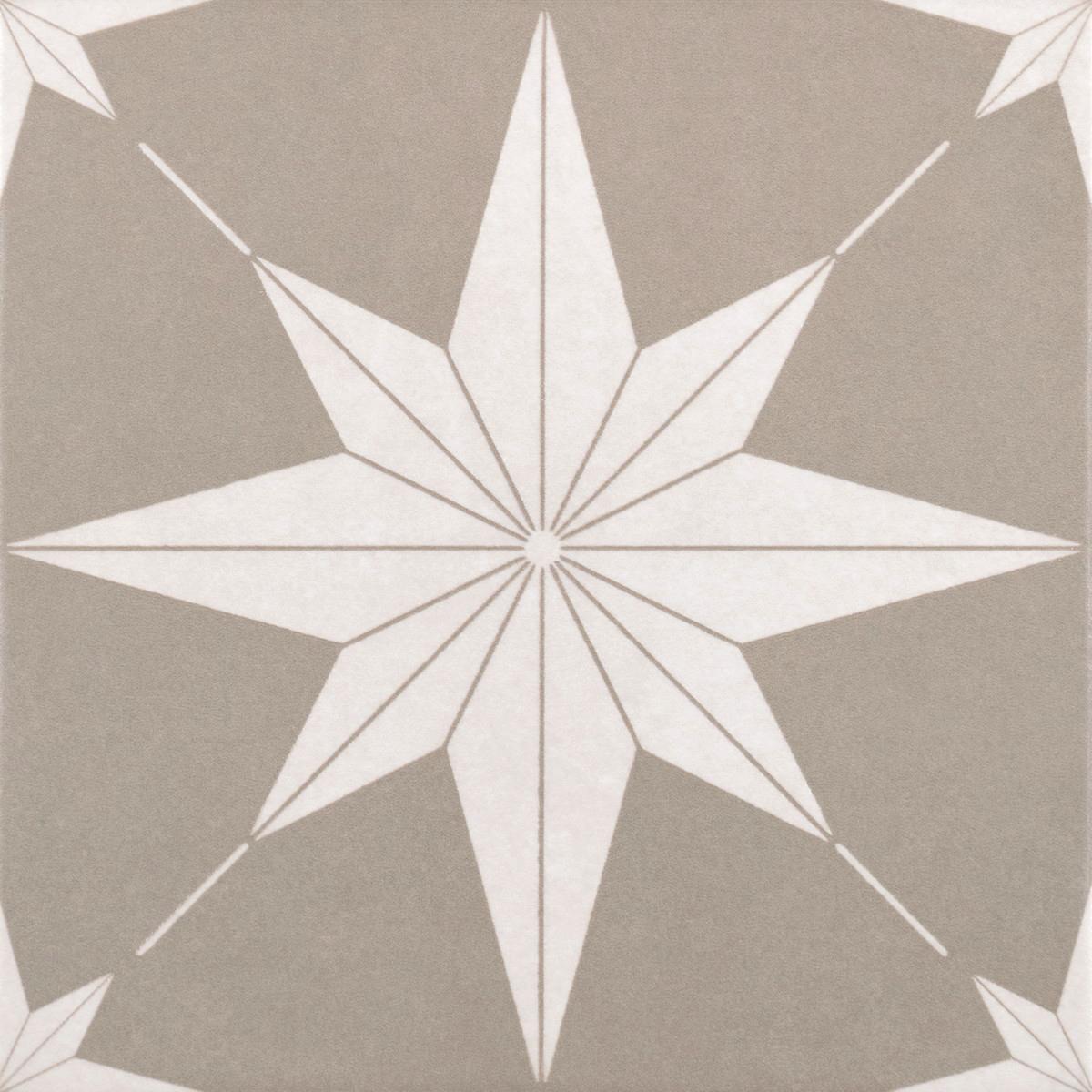 Керамогранит Birch Decor 1020 20x20