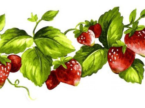 Виниловые обои Kitchen Story III x