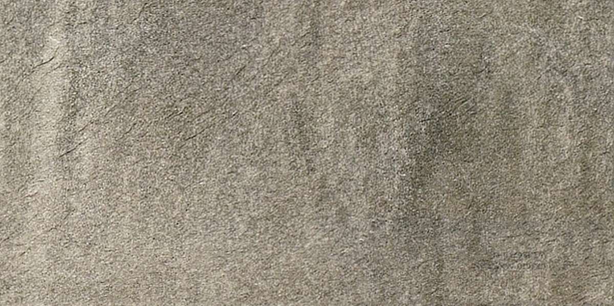  Walks 1.0 Gray Soft 30x60