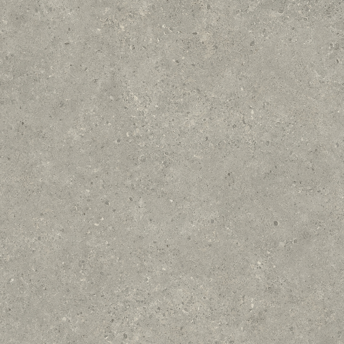  Статус Карбон 80x80