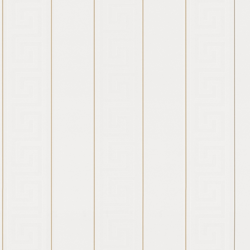 Виниловые обои Versace 5 0.7x10.05