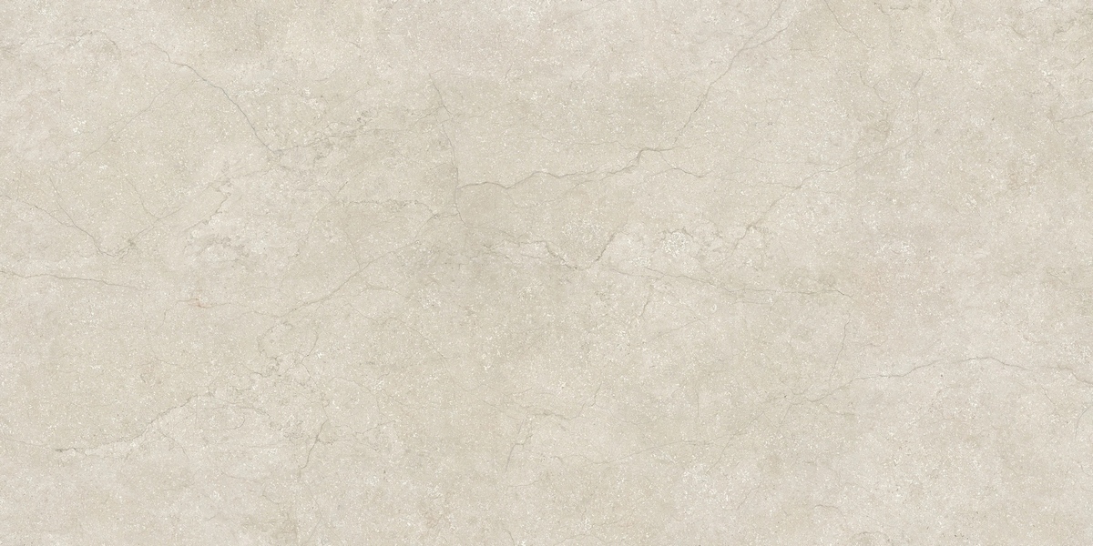  Stone Life Shell 6 Mm 120x240