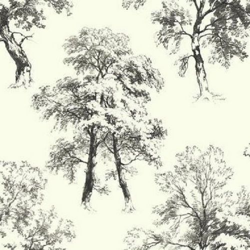Бумажные обои York Ashford House Toiles II 0.68x8.2