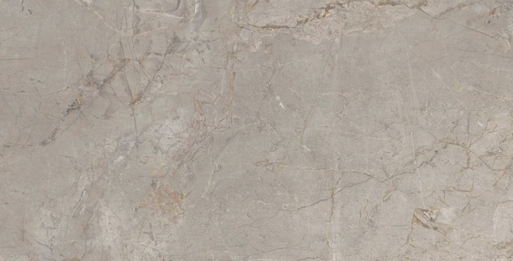  Elements Lux Silver Grey Nat 60x120