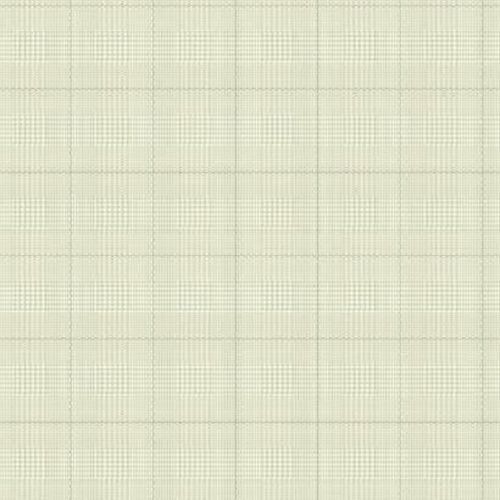 Бумажные обои York Ashford House Toiles II 0.52x10.05