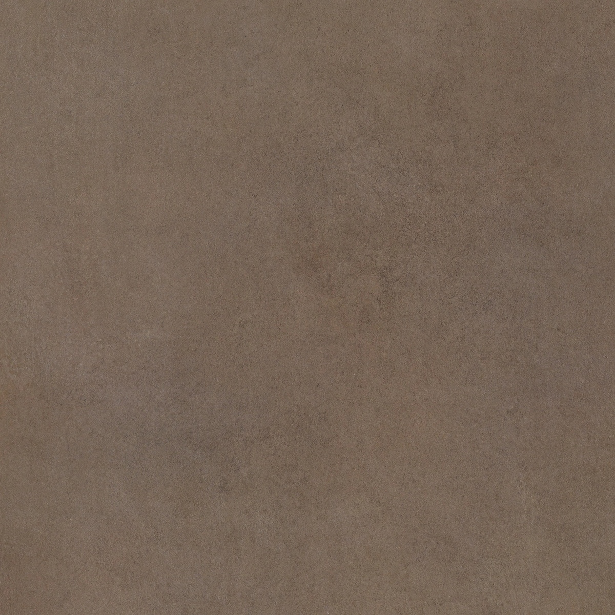  Easy Life Mushroom Matte 80x80