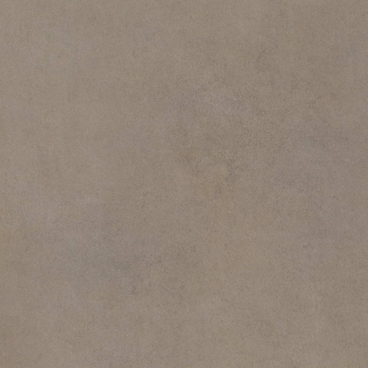  Easy Life Caffe Latte Matte 80x80