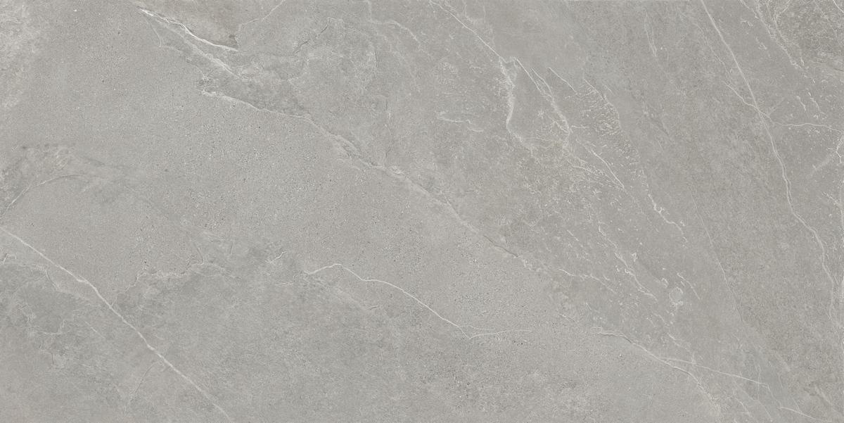  АрдэСтоун Серый Матовый 60x120