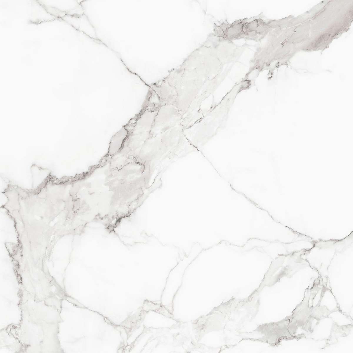  I Classici Di Rex Statuario Soft 80x80