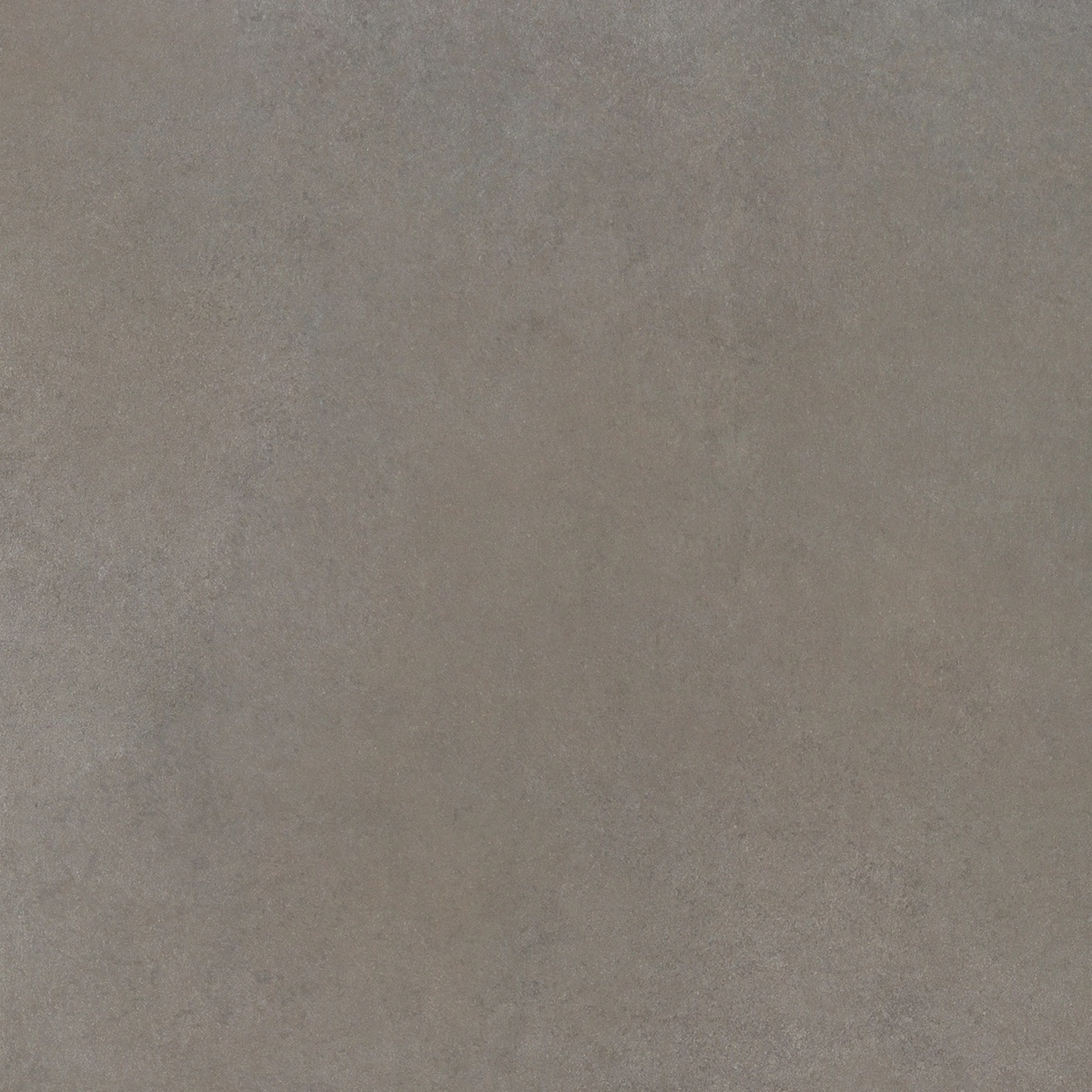  Easy Life Grey Salt Matte 80x80