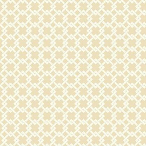 Бумажные обои York Ashford House Toiles II 0.52x10.05