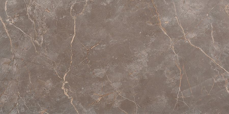 Керамическая плитка Roma Stone Wall Tiles Pietra Brown Matt 80x160