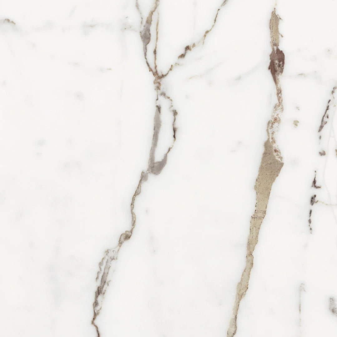  Les Origines De Rex Or Matte 60x60