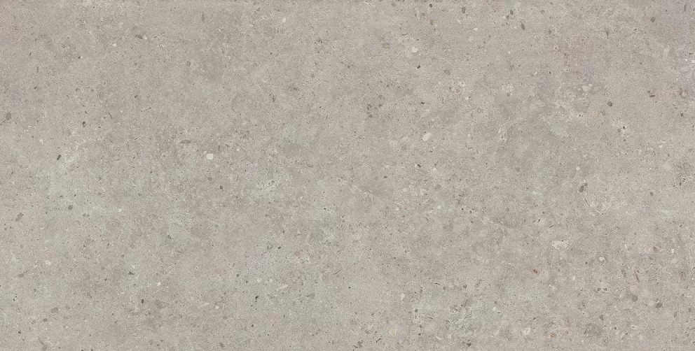  Риккарди Серый Светлый Матовый Обрезной 60x119.5 60x119.5