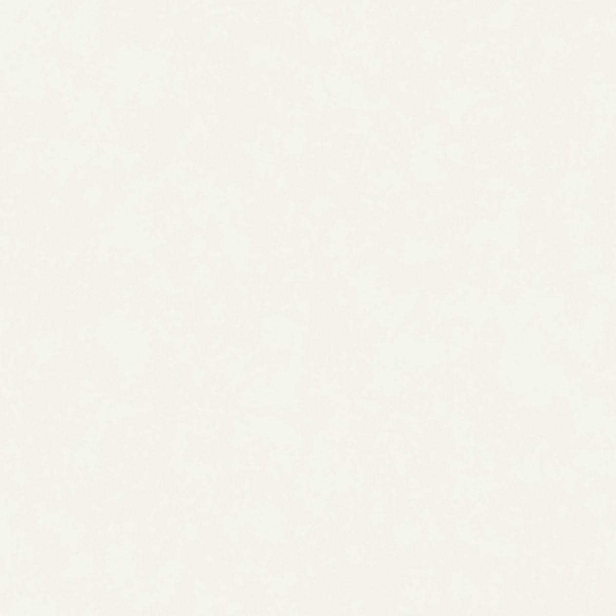 Виниловые обои Reach & Cosy 1.06x10.05