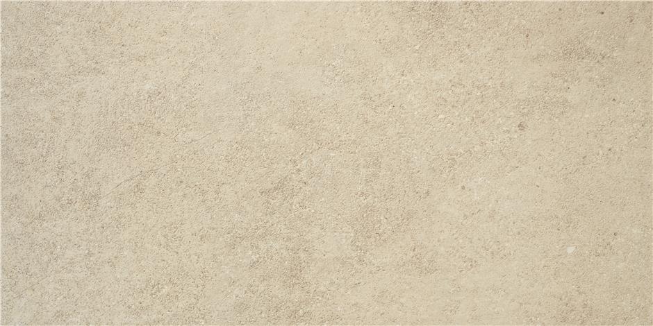 Керамогранит Regina Natural Matt. 60x120