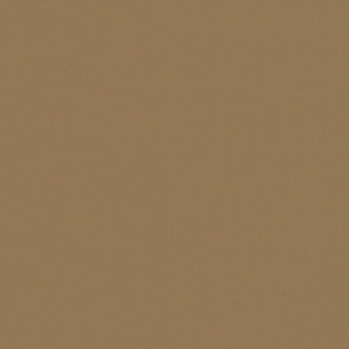 Флизелиновые обои Шервуд 1x10.05