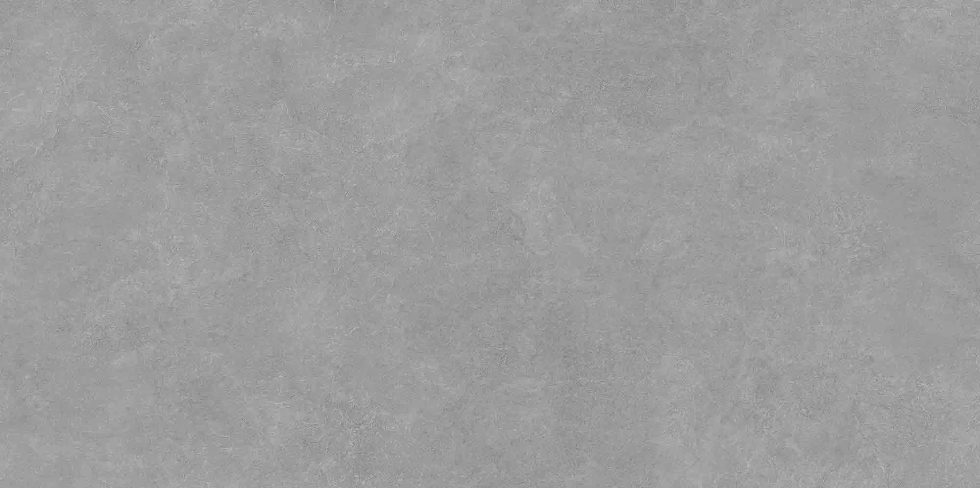  Про Стоун Серый Матовый Обрезной 119.5x238.5