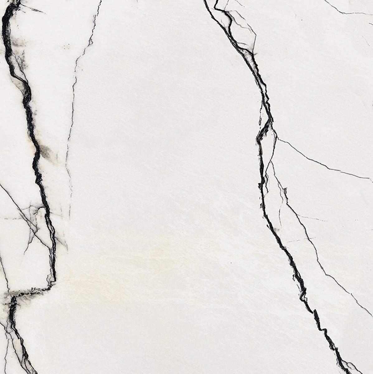  B&W Marble Marble Breach High-Glossy 60x60