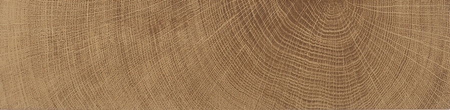  Oxford Natural Matt 29.4x120