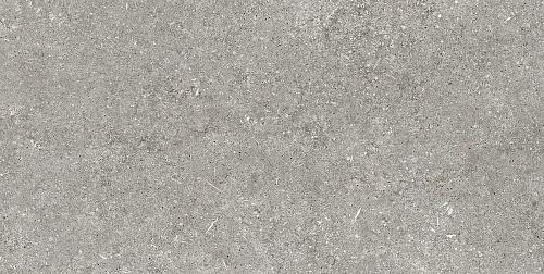 Magnum CDC Grey Fossil Naturale 6mm Керамогранит 60x120