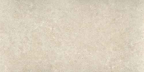 Ulisse Natural Matt. Керамогранит 59.5x120