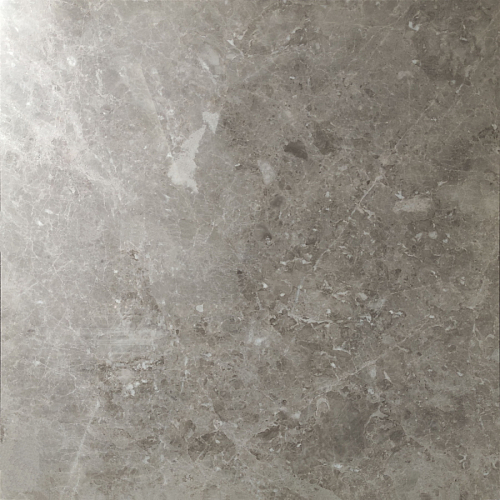 Classic Polish Finished Tudor Grey MC095  Мрамор 60x60