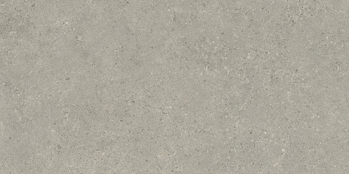 Статус Карбон  Керамогранит 60x120
