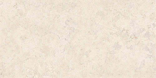 СпаСтоун Кампосперо Матовый  Керамогранит 60x120