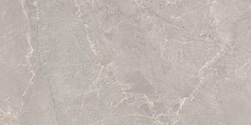 Alchemy Iron As  Керамогранит 60x120
