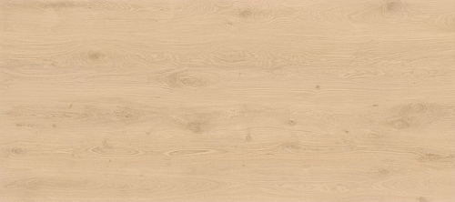 Log Bright Oak 6mm  Керамогранит 120x278