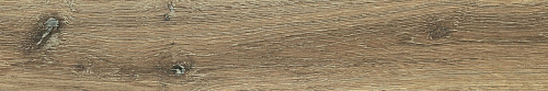 Planches De Rex Noisette  Керамогранит 20x120
