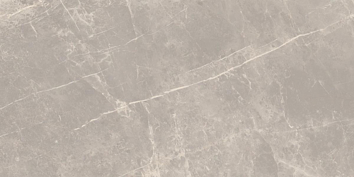 Elemental Stone Grey Dolomia Lucido  Керамогранит 60x120