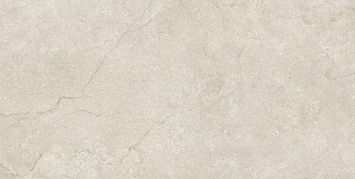 Stone Life Shell R11 Ptv 9 Mm  Керамогранит 60x120