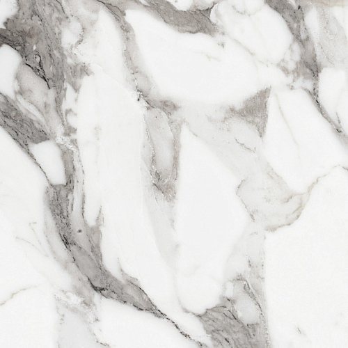 Les Origines De Rex Argent Glossy  Керамогранит 60x60