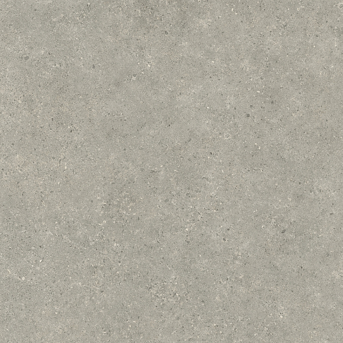 Статус Карбон  Керамогранит 120x120