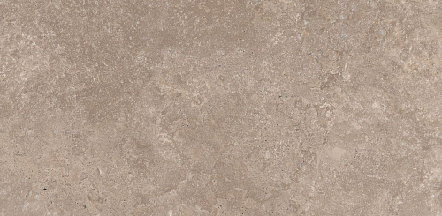 Мурашки Cappuccino Керамогранит 60x120