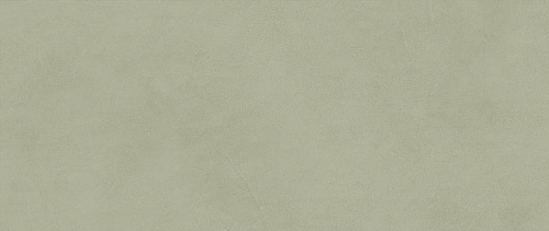 Boost Expression Olive  Керамическая плитка 50x120
