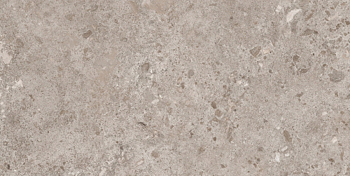 Bierzo Gris Seda  Керамогранит 60x120