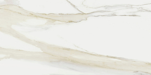 I Classici Di Rex Cal.Gold Matte  Керамогранит 60x120
